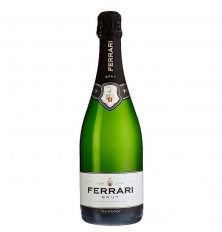 Bollic. - FERRARI "Trento...