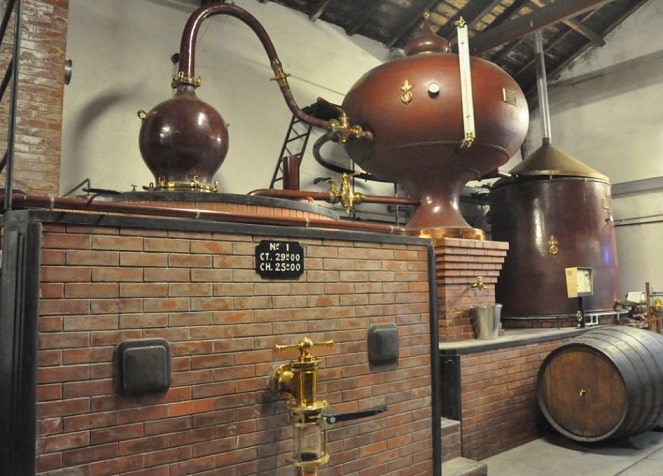 Alambicco Discontinuo (2)-min.jpg